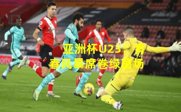 亚洲杯U23：青春风暴席卷绿茵场