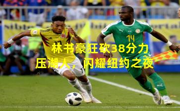 林书豪狂砍38分力压湖人，闪耀纽约之夜